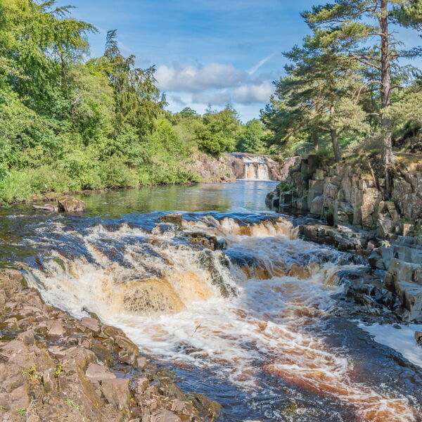 Summer Morning at Low Force Waterfall