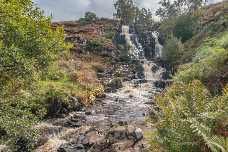 Early Autumn at Blea Beck Force