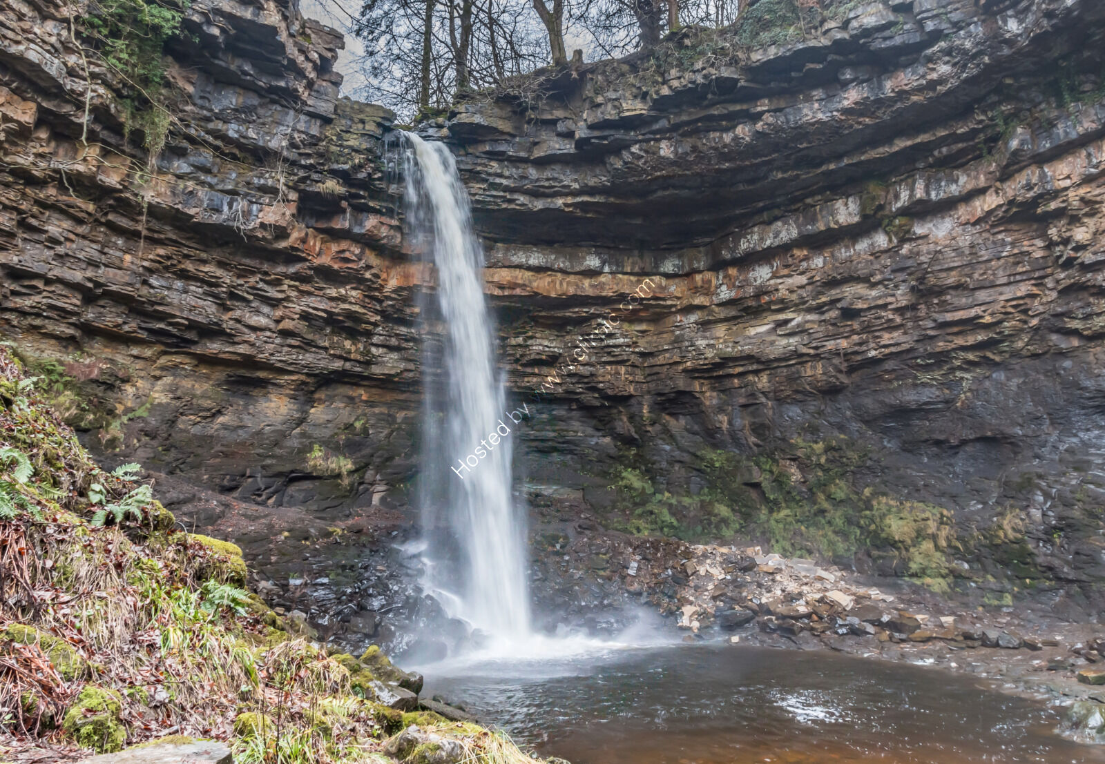 Hardraw Force