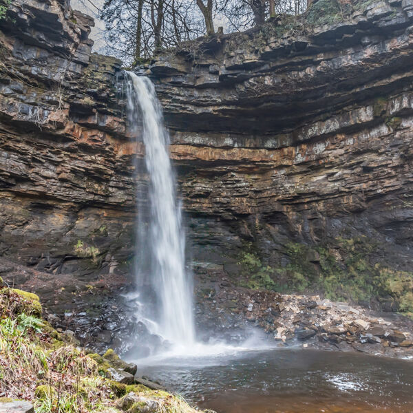 Hardraw Force