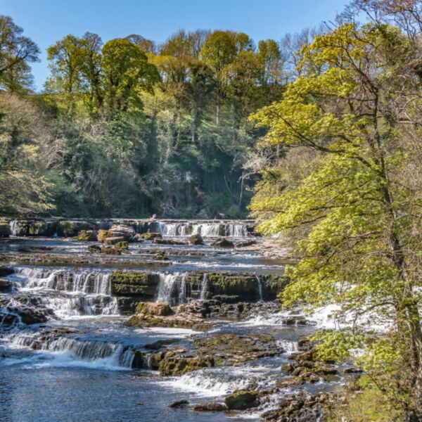 Aysgarth Upper Falls in Spring Sunshine
