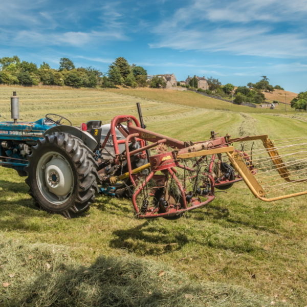 Vintage Haymaking