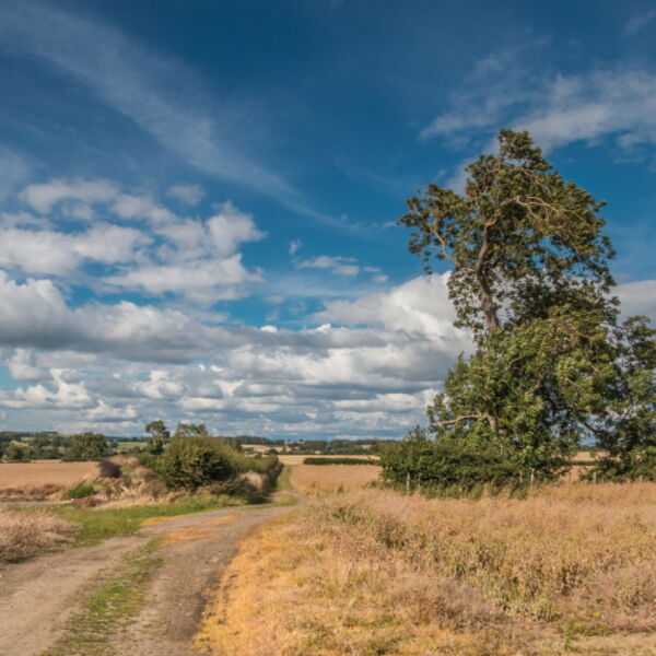 Big Summer Sky at Thorpe