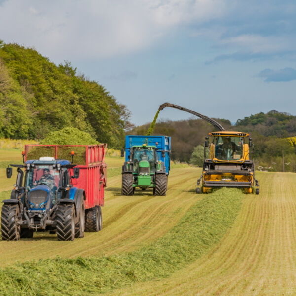Silage Making at Foxberry