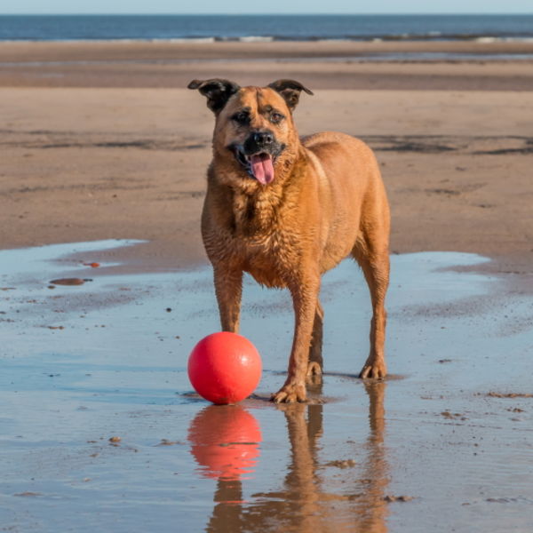 Come and play - PLEASE