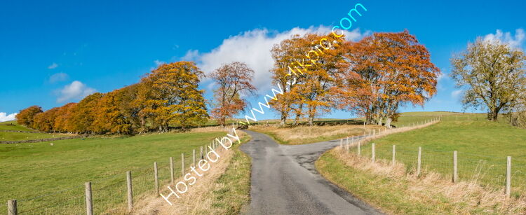 Ettersgill Autumn Panorama