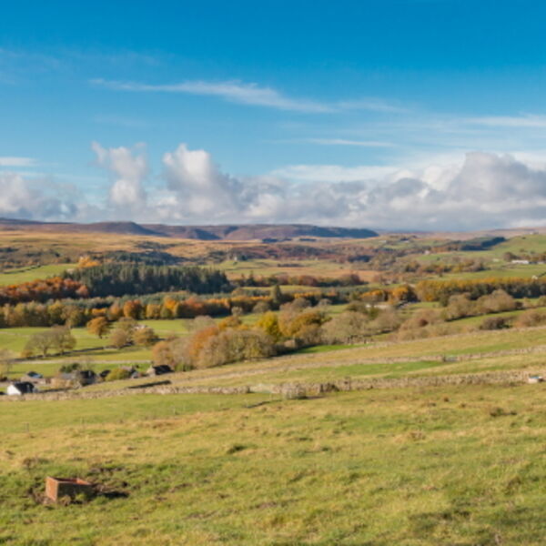 Upper Teesdale Autumn Panorama