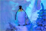 A Fantasyland penguin and chick