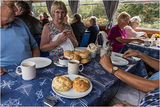 Surely, she is not going to eat all of those scones herself? - bet she does!!