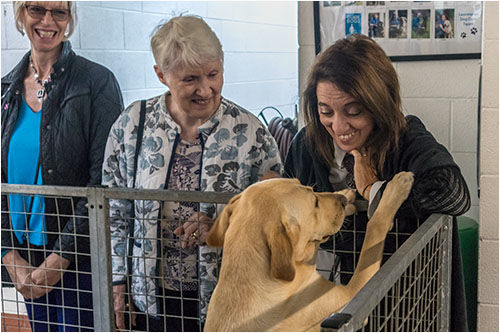 A warm welcome being received