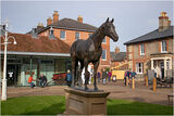 Frankel the Race Horse - unbeaten in his 14 year career