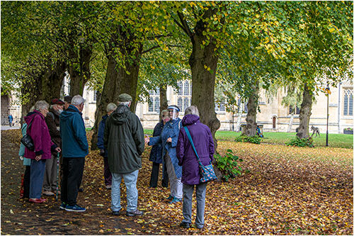 Our 2nd group enjoying their guided walk with tour guide Lynne