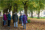 Our 2nd group enjoying their guided walk with tour guide Lynne