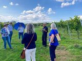 Introductory talk about the vines
