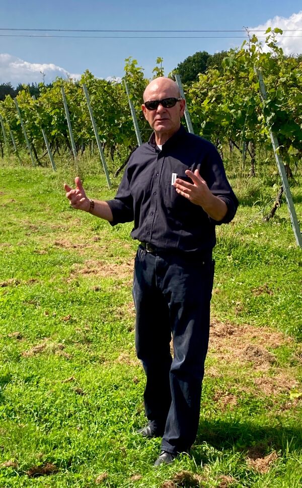 Our Guide explaining how the vines are looked after