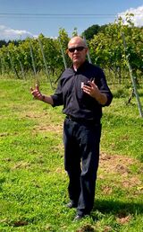 Our Guide explaining how the vines are looked after