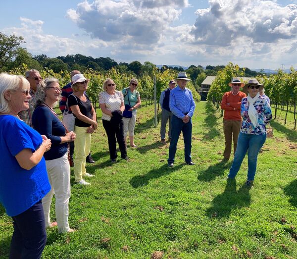 It was fascinating to learn about the growing process