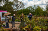 Although the weather was not as good as we had hoped, the Gardens still looked excellent