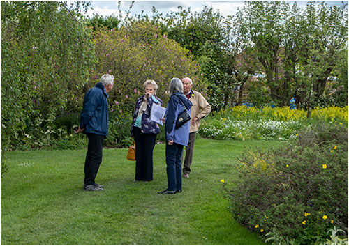 Deep discussion as to the name of the plants