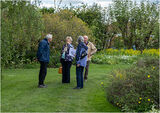 Deep discussion as to the name of the plants