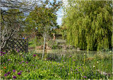 With all the rain we have had, the garden looked very lush!