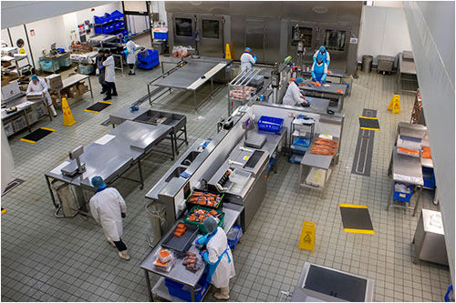 We then saw the work area where all the salmon is prepared for shipping to the retailers