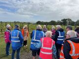 The tour guide explaining how the grapes are grown