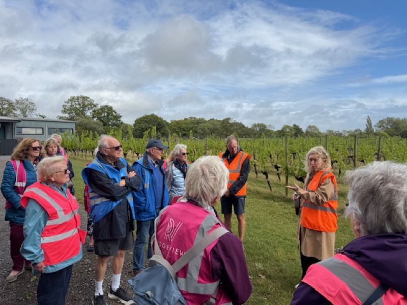 The guide helped us understand the process