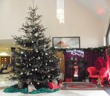 The beautiful Christmas Tree in Reception