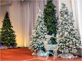 The decorations had a "Narnia" theme