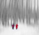 Winter in Alberta