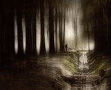 In Caddam Wood