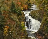 Reekie Linn