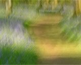 Bluebell Wood ICM