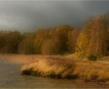 Storm Light