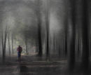Dark Woods