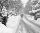 Mid-winter