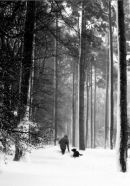 Snowdrifts