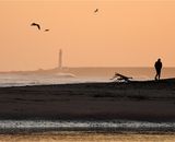 Solitude