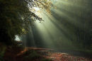 Light Shafts