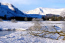 Winter, Clova