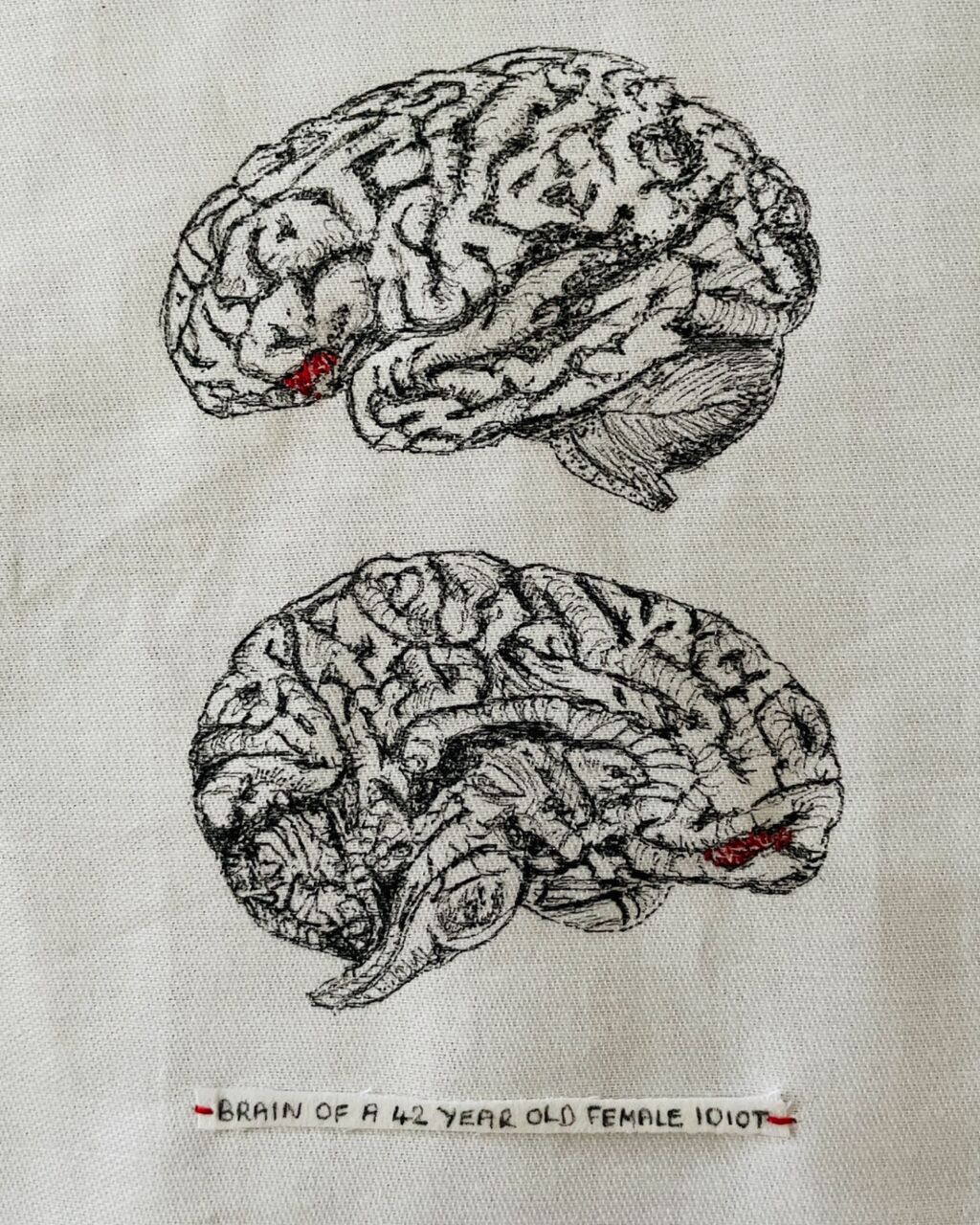 Brain of a female idiot 2026 House of Smalls
