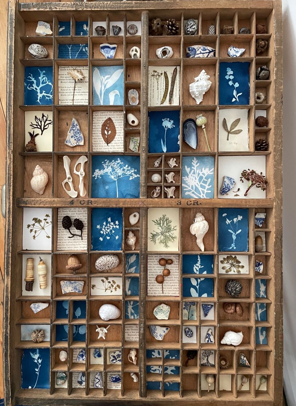 Cycle of Life Printers Tray