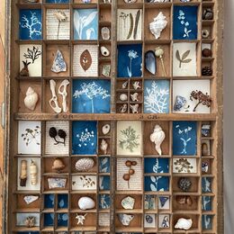 Cycle of Life Printers Tray