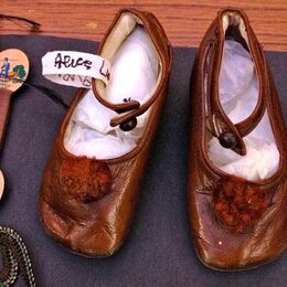 Alices's Shoes: Hodgkinsons Project