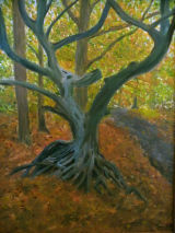 The Climbing Tree - Thorndon Park