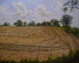 The Stubble Field