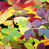 Autumn Leaves, colourful painting, now available as a fine art print. 16 x 24 inches