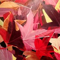 Red Leaves #2 original oil painting of red Autumn leaves on 24 x 24 inch canvas