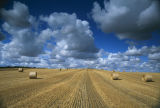 Flodden field